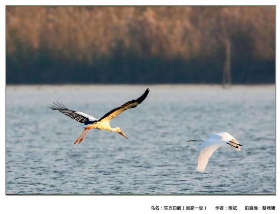 1611135461129465.jpeg 5d6034a85edf8db11bb0e89f4de13453544e74fd.jpeg