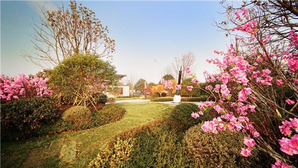 1612491478402820.jpg 圖片6.jpg