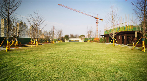 1612491507788729.jpg 圖片9.jpg