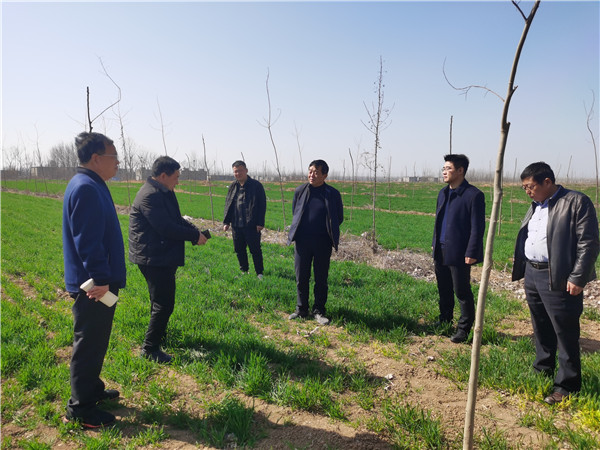 1614047760853707.jpg rB40qWAzJtiACXF4AD1DB_LlquI719.jpg