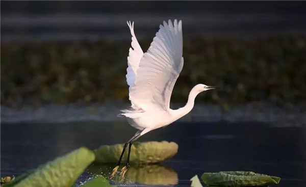 1614322275599002.jpg 圖片13.jpg