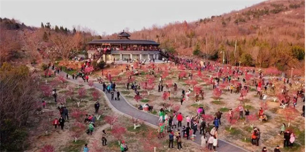 1614322365126375.jpg 圖片1.jpg