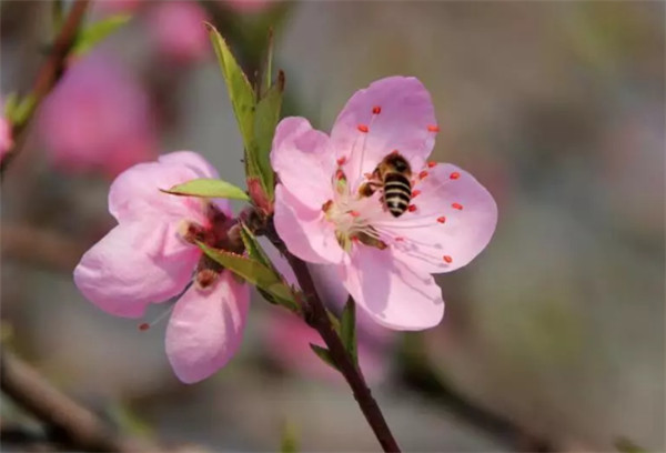 1614322373124508.jpg 圖片2.jpg