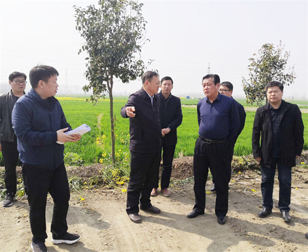 1616924684828792.jpg rB40tmBfHTOAcv6cAAGqecwKrH4870.jpg