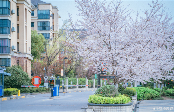 1617528896751377.jpg 3b9fd196ly1gon3btpd4oj264w3yj7ws.jpg