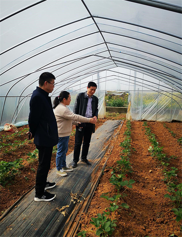 1617691324131117.jpg 技術(shù).jpg