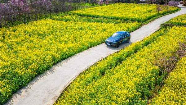 1618209069544352.jpg 圖片4.jpg