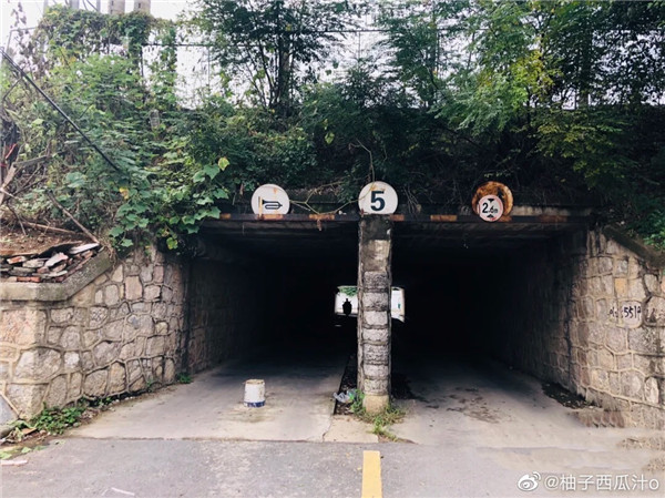 1618366239168555.jpg 006iaGtEly1gpi5r7p2r5j30u00mhajc.jpg