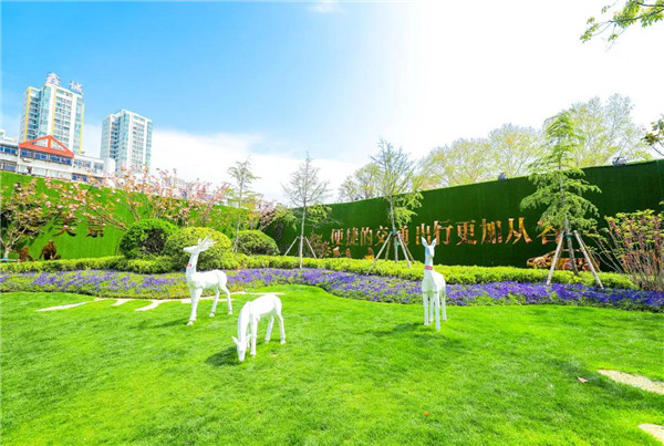 1618538924902462.jpg 14.jpg