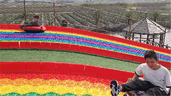 1618911269130648.jpg 5.jpg