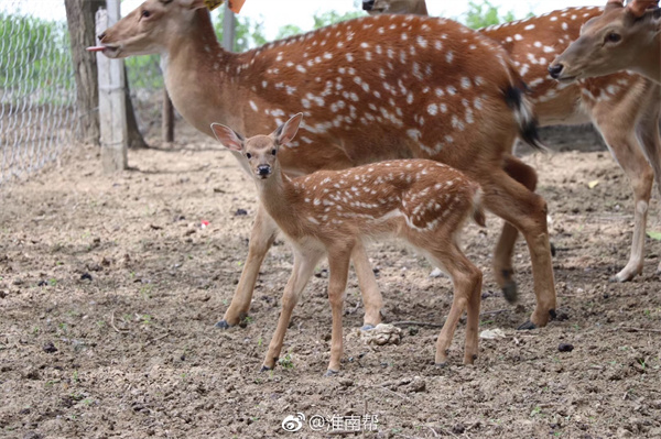 1619157479968903.jpg 2.jpg