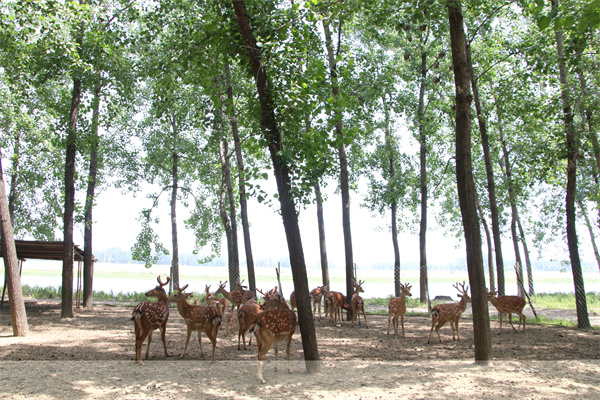 1619157535103228.jpg 1.jpg