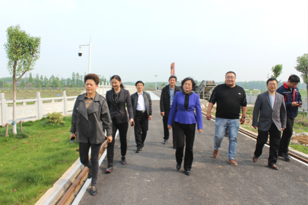 淮南副市長(cháng)陸晞來(lái)鳳臺督查河長(cháng)制林長(cháng)制落實(shí)情況