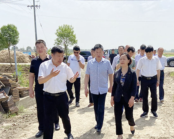 淮南市人大來(lái)鳳調研民族鄉村振興工作