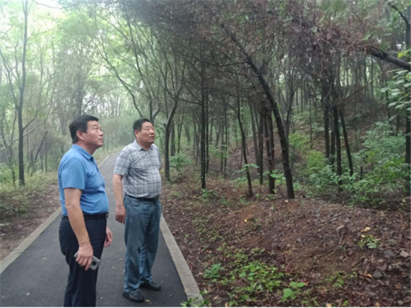 淮南市林業(yè)局魯金杰局長(cháng)赴舜耕山風(fēng)景區調研綠化養護情況