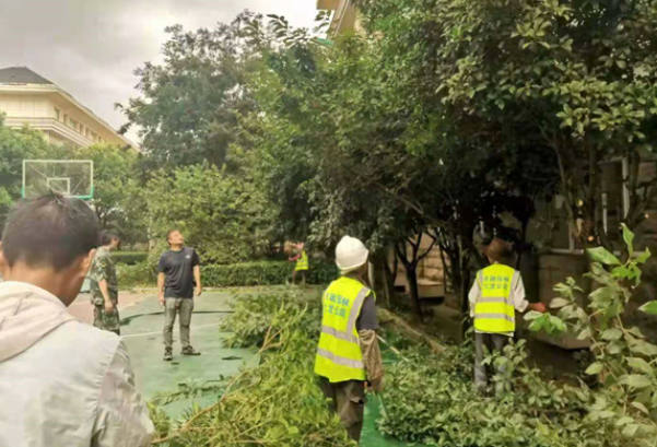 淮南：大龍綠化工程公司“擁軍愛(ài)軍”情誼真