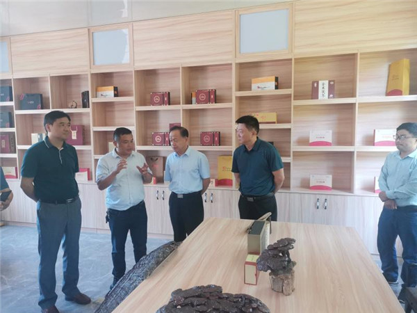 淮南市赴六安市考察學(xué)習鄉村振興工作