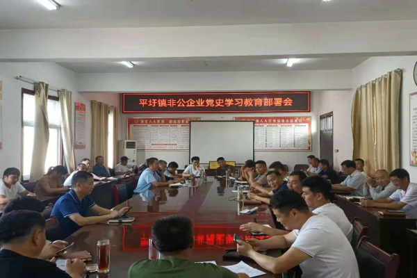 淮南市潘集區平圩鎮：念好“三字訣”推深做實(shí)非公領(lǐng)域黨史學(xué)習教育