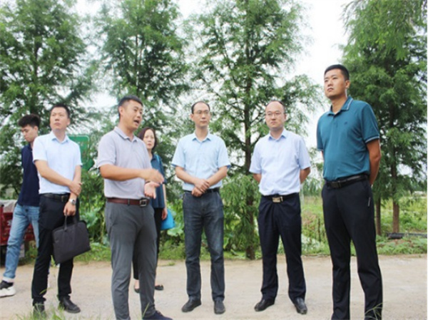 【淮南市鳳臺縣】團省委來(lái)鳳開(kāi)展調研活動(dòng)