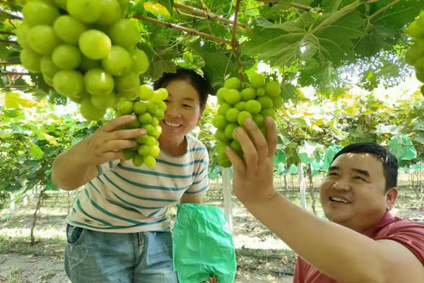 淮南市鳳臺縣顧橋鎮黨委:念好黨建引領(lǐng)“四字訣”，激活鄉村振興“一池水”