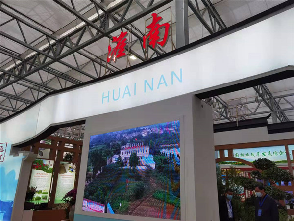 淮南市組織參加2021年中國·合肥苗木花卉交易大會(huì )