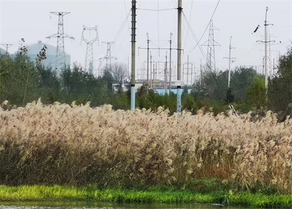 【圖說(shuō)淮南】——美麗潘集，我可愛(ài)的家鄉