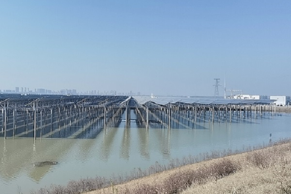 淮南市謝家集區唐山鎮：“黨建+”模式助力鄉村振興