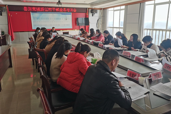 淮南市鳳臺縣岳張集鎮黨委：開(kāi)好三劑“良方”，助力新任村干部跑出“加速度”