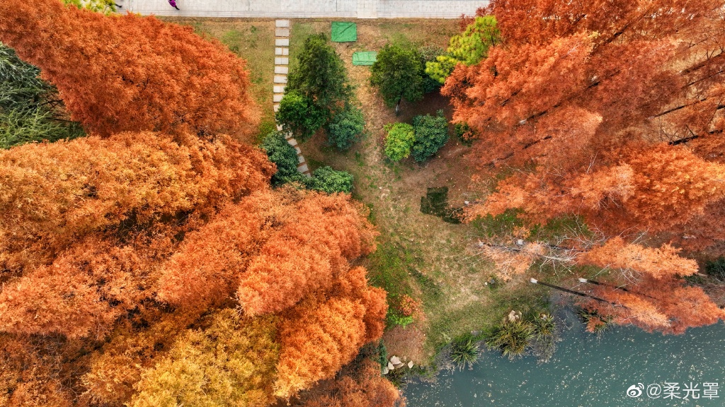 【圖說(shuō)淮南】——淮南龍湖公園的冬天是什么顏色的呢？