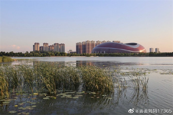 【圖說(shuō)淮南】——中央公園夏日納涼好去處
