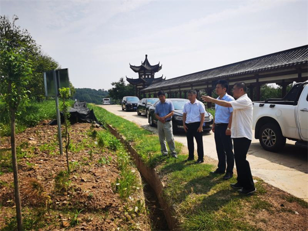 淮南市副市長(cháng)程俊華調研礦山生態(tài)修復工作