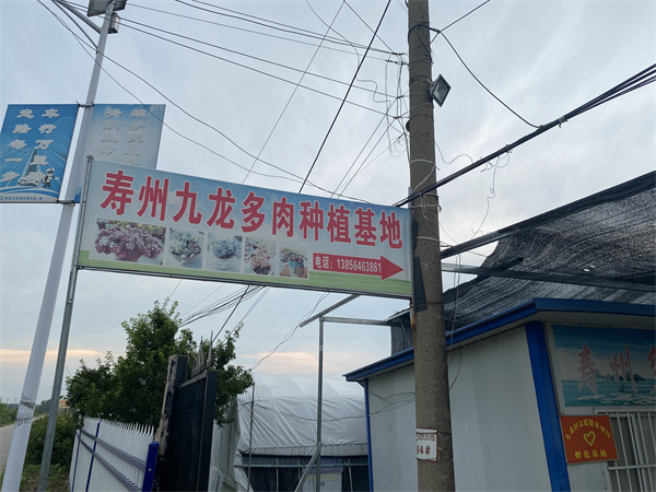 “喜迎二十大 網(wǎng)絡(luò )名人看淮南”之走進(jìn)壽縣活動(dòng)