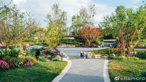 【圖說(shuō)淮南】——淮南人民公園的花有多少種呢？