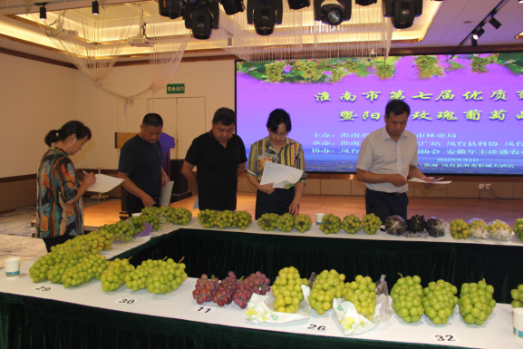 淮南市第七屆優(yōu)質(zhì)葡萄大賽暨陽(yáng)光玫瑰葡萄品鑒會(huì )成功舉辦