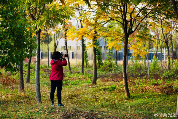 圖說(shuō)淮南—— 你好！十一月！