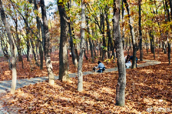 【圖說(shuō)淮南】——12月的淮南！你好！