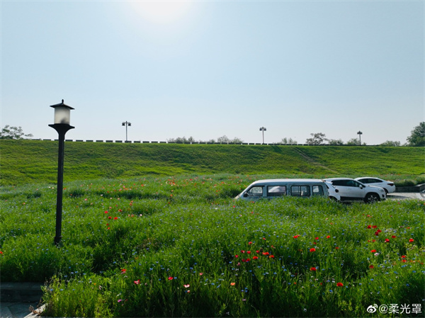 【圖說(shuō)淮南】——陽(yáng)光明媚，微風(fēng)不燥
