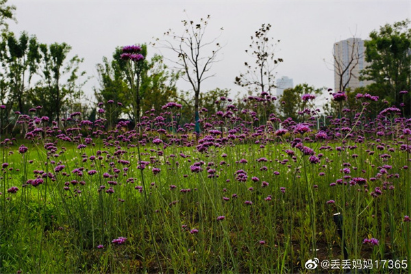 【圖說(shuō)淮南】——祝福所有的考生，金榜題名！