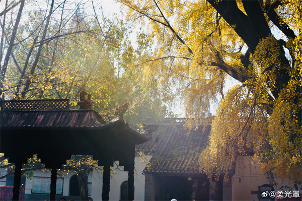 【圖說(shuō)淮南】——冬日暖陽(yáng)