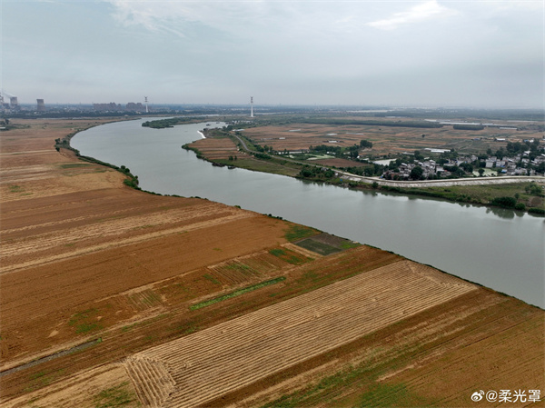 【圖說(shuō)淮南】——布谷聲初定，欣看麥已秋