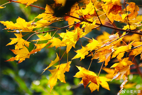 【圖說(shuō)淮南】——寧靜時(shí)光