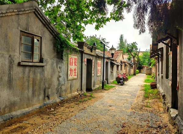 【圖說(shuō)淮南】——跟隨“六姊妹”同游大通