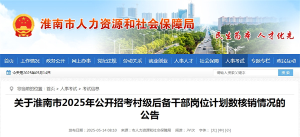 關(guān)于淮南市2025年公開(kāi)招考村級后備干部崗位計劃數核銷(xiāo)情況的公告