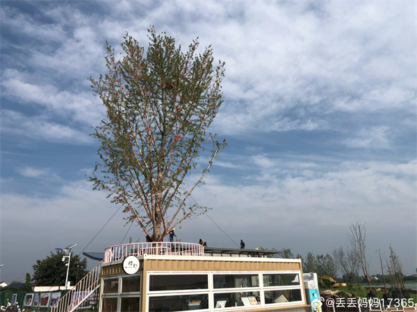 【圖說(shuō)淮南】——微風(fēng)拂過(guò)