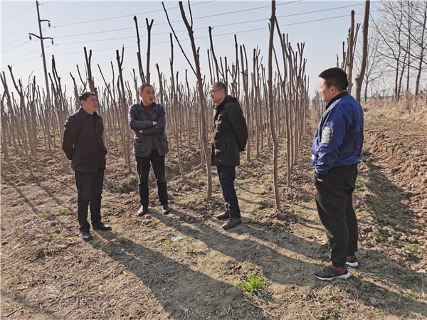 淮南市林業(yè)局劉錦燦副局長(cháng)調研春季植樹(shù)造林工作