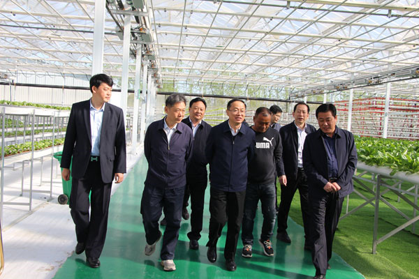 淮南農業(yè)農村部來(lái)鳳視察智慧農業(yè)